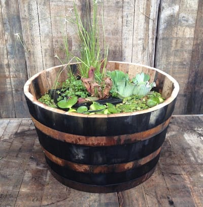 Authentieke houten bloembak "old look"/ Mini-Vijver / Plantenbak – 150 liter kastanje hout (1/2 vat) – Ø 60 cm x H 35 cm