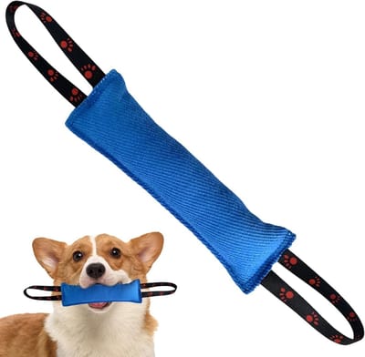 Robuust bijtworst hondenspeelgoed 30 cm – ideaal trek- en werpspeelgoed met polsband – blauw voor honden, training, interactief spel en kauwplezier
