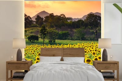 Behang - Fotobehang Zonnebloem - Natuur - Berg - Breedte 260 cm x hoogte 260 cm