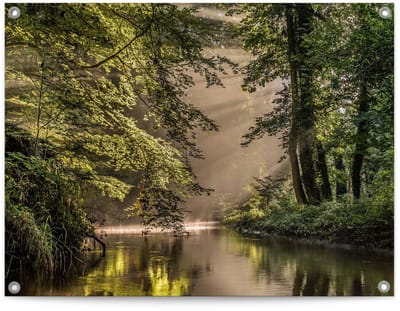 Tuinposter Beek in het bos - 60 x 80 - Canvas - REINDERS