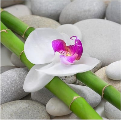 Set van 3 Glazen Wanddecoratie: Orchideeën, Stenen en Bamboe (30x30 cm)