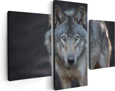 Artaza Canvas Schilderij Drieluik Wolvenkop - Grijze Wolf - 90x60 - Foto Op Canvas - Canvas Print