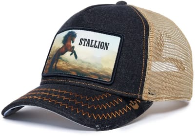 Goorin Bros. Stallion Trucker cap - Charcoal