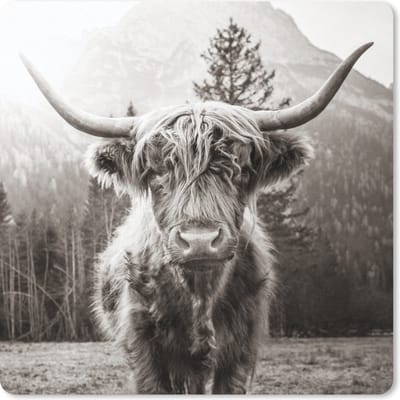 Muismat 20x20 cm - Mousepad Schotse hooglander - Dieren - Zwart - Wit - Muismatten