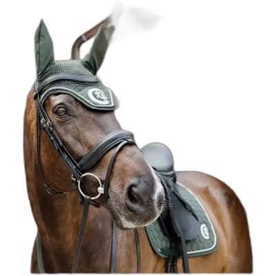 Kentucky Horsewear - Oornetje Wellington 3D Logo rope dennengroen Full