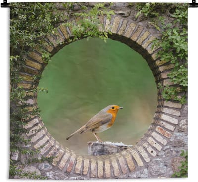 Wandkleed - Wanddoek - Vogel - Doorkijk - Roodborstje - 180x180 cm - Wandtapijt
