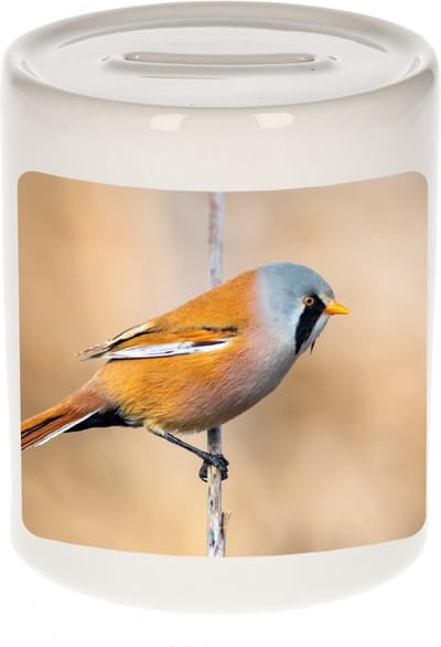 Dieren baardmannetje vogel foto spaarpot 9 cm jongens en meisjes - Cadeau spaarpotten baardmannetje vogel vogels liefhebber