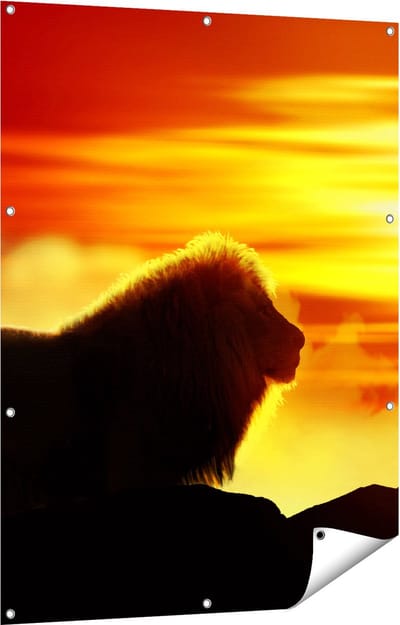 Gards Tuinposter Leeuw en Tijger - Silhouet - Zonsopkomst - 90x120 cm - Tuindoek - Tuindecoratie - Wanddecoratie buiten - Tuinschilderij
