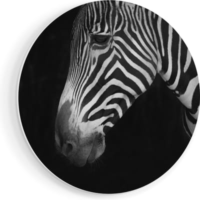Artaza Forex Muurcirkel Zebra Kop Vanaf De Zijkant - Zwart Wit - 80x80 cm - Groot - Wandcirkel - Rond Schilderij - Wanddecoratie Cirkel