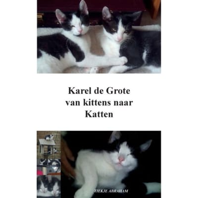 Karel De Grote - Tiekje Abraham