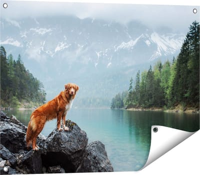 Gards Tuinposter Retriever Hond bij het Water in de Bergen - 80x60 cm - Tuindoek - Tuindecoratie - Wanddecoratie buiten - Tuinschilderij