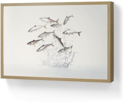 Wandlamp 60x40 cm - Oplaadbaar - Vissen - Water - Wit - Wandlampen binnen woonkamer - Slaapkamer lamp - Decoratieve nachtlamp - Vloerlamp draadloos
