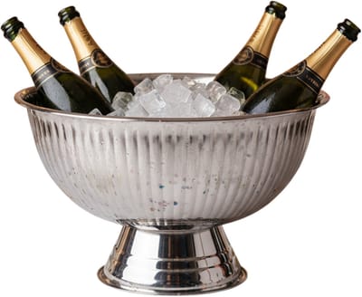 Excellent Houseware Champagnekoeler - op voet - RVS - zilver - 40 x 24 cm - schaal