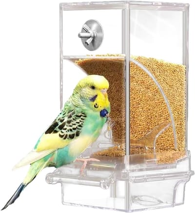 Voederhuisje voor Kleine Vogels, Geen Rommel, Transparant, Voedselveilige PP Materialen, 18.5 cm Hoog, Ideaal voor Tuin en Balkon