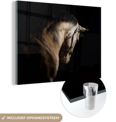 MuchoWow® Glasschilderij 160x120 cm - Schilderij acrylglas - Paarden - Halster - Zwart - Foto op glas - Schilderijen