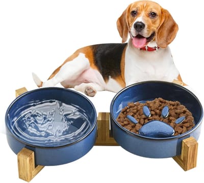 Hondenvoerbak, antislip keramische hondenvoerbak met standaard, huisdieraccessoires voor katten voeren en drinken