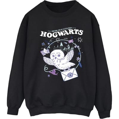 Harry Potter Dames/Dames Uil Brief Van Zweinstein Sweatshirt (Zwart)