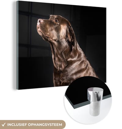 MuchoWow® Glasschilderij 160x120 cm - Schilderij acrylglas - Hond - Bruin - Portret - Foto op glas - Schilderijen