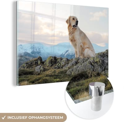 ® Glasschilderij 180x120 cm - Schilderij acrylglas - Een golden retriever zit op de rotsen - Foto op glas - Muurdecoratie woonkamer - Wanddecoratie slaapkamer - Schilderijen