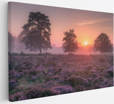 Saammp Canvas Schilderij - Lavendelveld met bomen en zonsondergang - Zonsondergang - Landschap - Natuur - 30x20 - Foto op canvas - Wanddecoratie - Muurdecoratie Woonkamer - Slaapkamer decoratie - Canvas Print