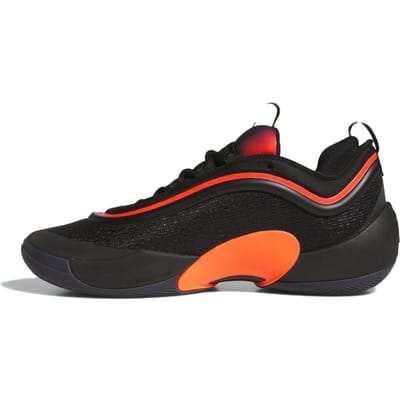 Basketbalschoenen adidas D.O.N. Issue 5