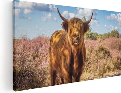 Artaza Canvas Schilderij Schotse Hooglander - 40x20 cm - Klein - Wanddecoratie Woonkamer - Muurdecoratie Natuur - Schilderijen Op Canvas