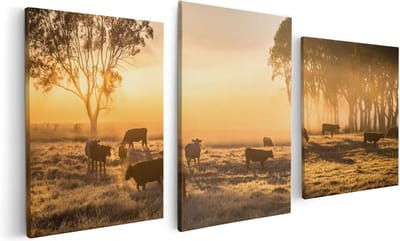 Artaza Canvas Schilderij Drieluik Kudde Koeien In De Wei Met Zonsopkomst - 120x60 - Foto Op Canvas - Canvas Print