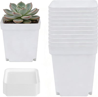 SnelShoppen - Pack van 12 vierkante kweekpotten 7 cm met schotel, witte plastic plantenpotten met drainagegaten voor succulenten, kleine bloempotten v