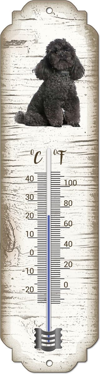 Thermometer: Poedel zwart | Hondenras | Temperatuur binnen en buiten | -25 tot +45C