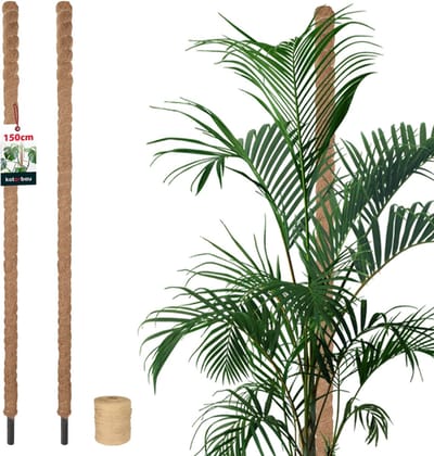 KOTARBAU® 2 st Kokosstok, Plantenstok, ⌀ 3,2 x 150 cm, Kokosstaaf, Klimhulp Monstera, Bruin, Kokosvezel, Klimhulp, Plantenstaaf, Kokosstok voor Monstera, Kokosstaaf voor Klimplanten