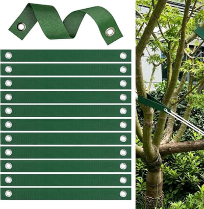 12 Stuks Boomriemen met Oogjes voor Ondersteuning en Bescherming van Vers Geplante Bomen, Stevige Touwen voor Stormbestendigheid en Stabiliteit