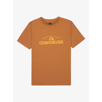 Quiksilver Ev Corpo Classic T-shirt Met Korte Mouwen Bruin,Oranje 12 Years Jongen