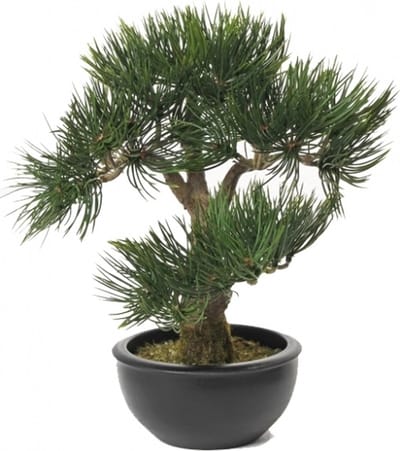 Kunstplant Bonsai boompje - Pinus Deniflora - kunst kamerplant - 33 cm