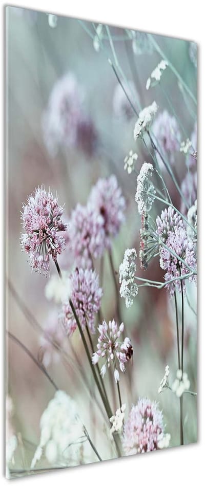 Tulup Glasschilderij - Foto Schilderij Op Glas Knoflookbloemen - 50 cm x 125 cm - Weiß Schilderij Glas - Schilderij Op Glas - Boheemse Glaskunst - Schilderij Glas - Glasdecoratie voor het Kantoor