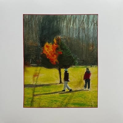 Citizen - Calling The Dogs (LP) (Coloured Vinyl)