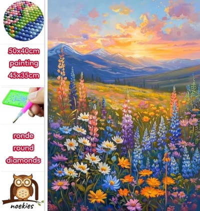 50x40cm Diamond Painting bloemen veld (rond) nr 138