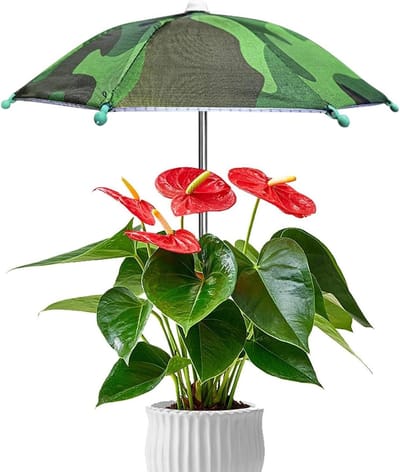 Plantenscherm Paraplu - Mini Luifel - Bescherming Potplanten - UV-bescherming Buiten - 35x27cm - Groen