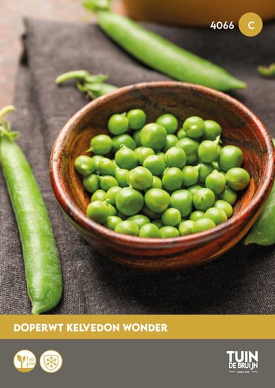 Erwten Zaden Kelvedon Wonder – Zoete Doperwt om Zelf te Kweken – Groentezaden voor Moestuin – ±75 Zaden - Tuin de Bruijn® zaden