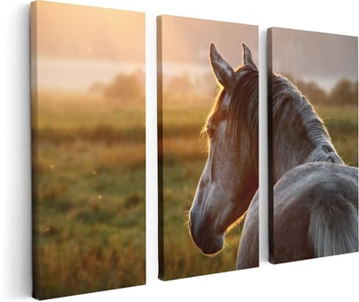 Artaza Canvas Schilderij Drieluik Paard In De Weide Tijdens Zonsondergang - 120x80 - Foto Op Canvas - Canvas Print