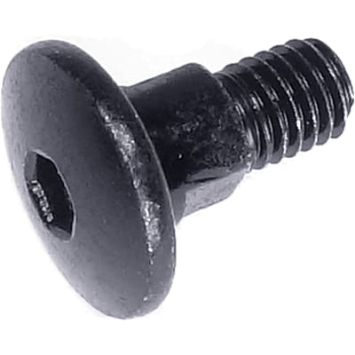 Screw