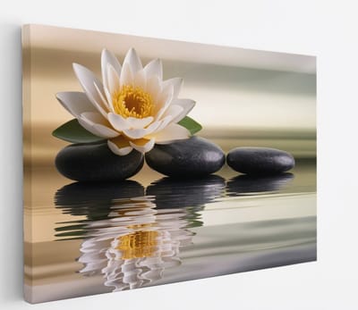 Saammp Canvas Schilderij - Lotusbloem op steen - Landschap - Natuur - 45x30 - Foto op canvas - Wanddecoratie - Muurdecoratie Woonkamer - Slaapkamer decoratie - Canvas Print