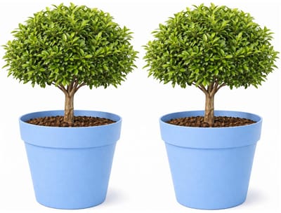 Mega Collections Plantenpot / bloempot - 2x - kunststof - lichtblauw - binnen/buiten - D39 x H35 cm