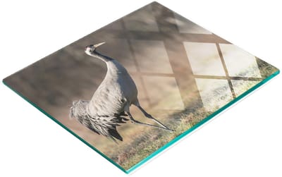 Multifunctionele decoratieve snijplank van gehard glas voor de keuken, Czapla, 60x52 cm