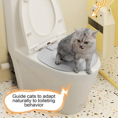 Kattentrainingsset - Toilet training - Zindelijkheidstraining - Zonder boren montage - 40 x 38.5 cm - Grijs