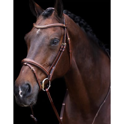Gecombineerd hoofdstel met neusriem HV Polo Legacy