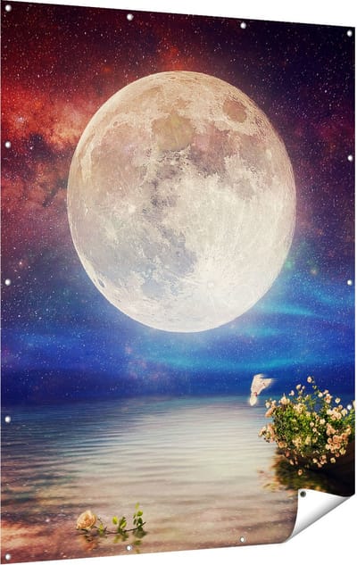 Gards Tuinposter Volle Maan in de Hemel boven het Water - 120x160 cm - Tuindoek - Tuindecoratie - Wanddecoratie buiten - Tuinschilderij