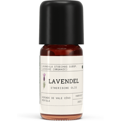 Natural Heroes Lavendel EO - Lavandula stoechas subsp. Luisieri - 5 ml