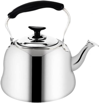 Waterkoker met Fluitje - Theepot Ketel - Water Koken - Verdikt RVS - 6 Liter - Zilver
