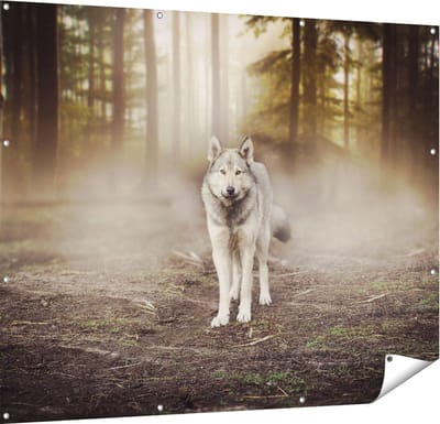 Gards Tuinposter Grijze Wolf in het Bos - 150x120 cm - Tuindoek - Tuindecoratie - Wanddecoratie buiten - Tuinschilderij
