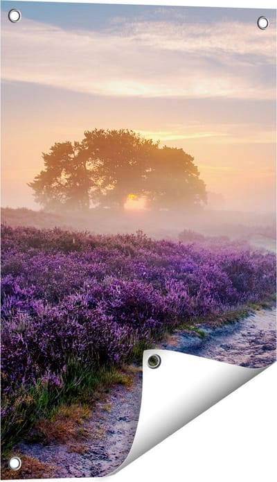 Gards Tuinposter Pad in de Weide van de Veluwe - 40x60 cm - Tuindoek - Tuindecoratie - Wanddecoratie buiten - Tuinschilderij